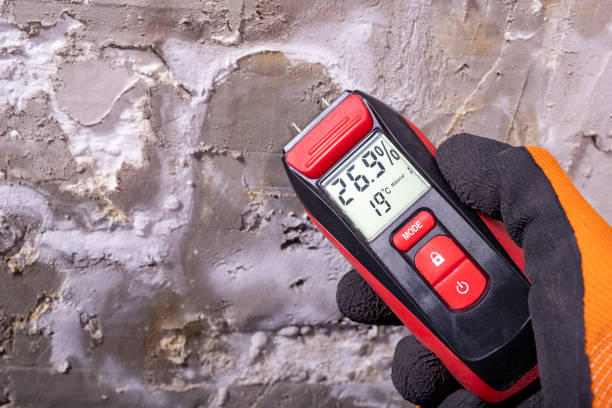 Best Residential Mold Removal  in Milan, IN