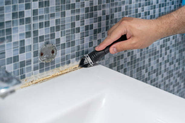 Professional Mold Removal in Milan, IN